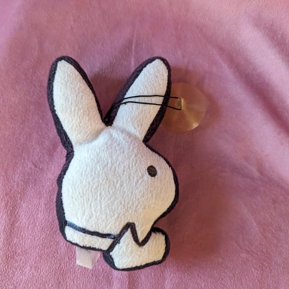 Playboy mini bunny 🐰 - Picture 3 of 7